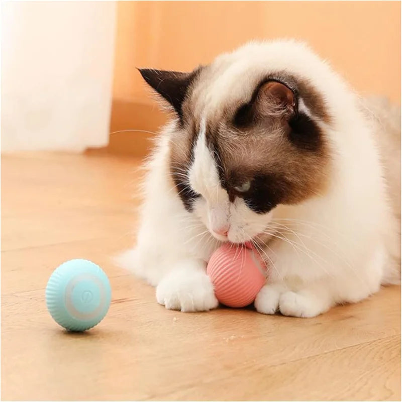 Pet Bounce Ball for Cats🐱 & Dogs🐶